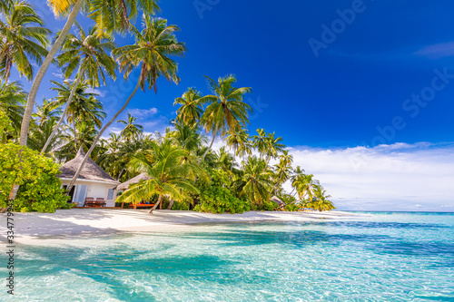 Tropical beach background as summer landscape with white sand and coco palm trees close to calm sea for beach banner. Perfect beach scene vacation and summer holiday concept.