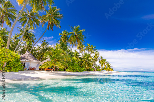 Fototapeta Naklejka Na Ścianę i Meble -  Tropical beach background as summer landscape with white sand and coco palm trees close to calm sea for beach banner. Perfect beach scene vacation and summer holiday concept.