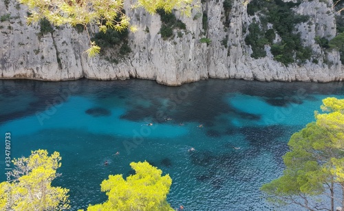 lake in forest