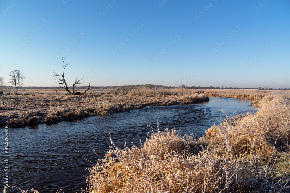Narwiański Park Narodowy. Rzeka Narew. Polska Amazonia, Podlasie,Polska Narwiański Park Narodowy. Rzeka Narew. Polska Amazonia, Podlasie,Polska