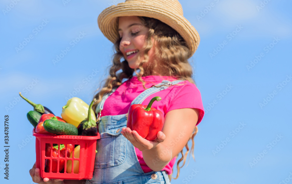 Organic food. Sunny day at farm. Vegetables in basket. Girl adorable child farming. Crops harvest. Harvest season. Natural vitamin nutrition. Child carry harvest sky background. Homegrown veggies