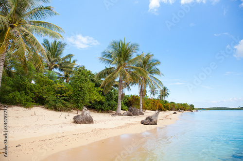 Fototapeta Naklejka Na Ścianę i Meble -  Tropical island with a white sandy beach. The nature of the Philippine Islands.