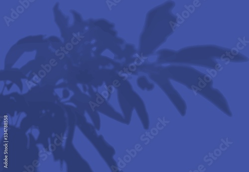 Summer background of leafy branches shadows on the blue wall