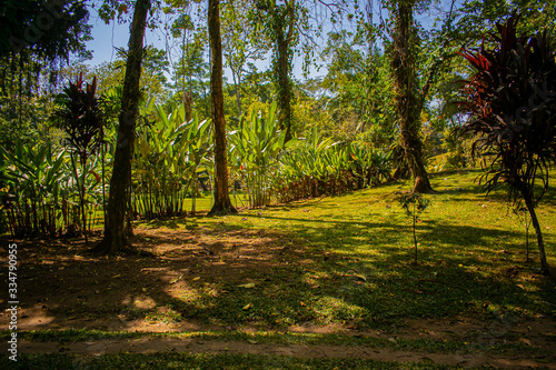 templo maya photo