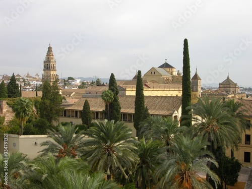 Cordoba, Spain, Cathedral and Bell Tower Seen from the Alcazar
