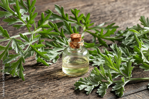 A bottle of wormwood essential oil with fresh Artemisia Absinthium twigs photo