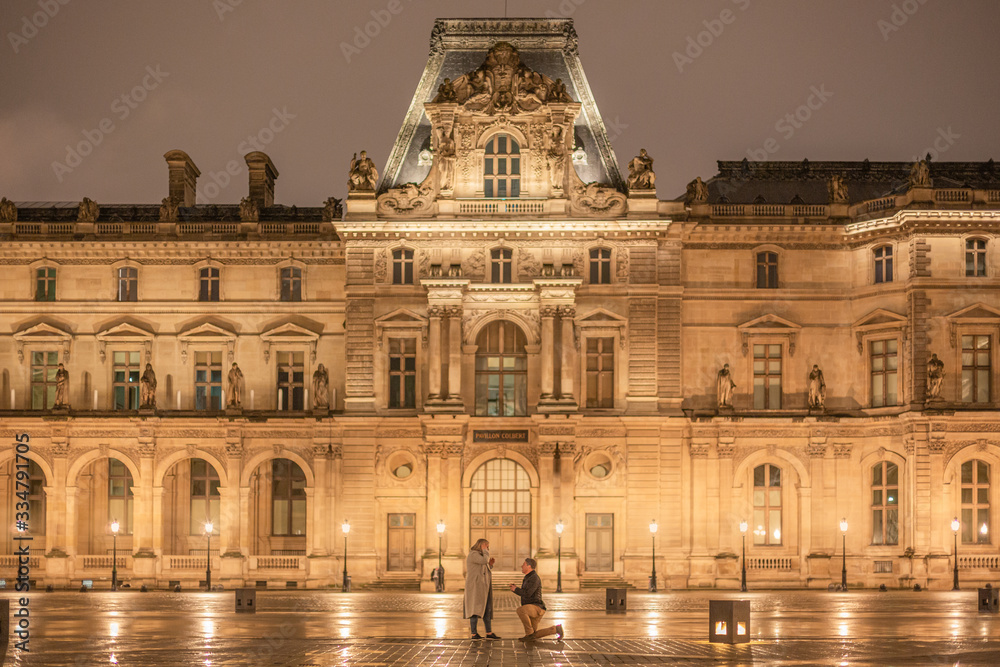 Proposal at the Louvre