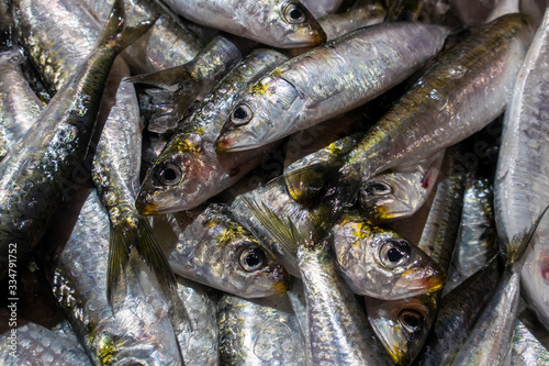 Varieties of fresh fish in market in Tavira, Algarve Portugal photo