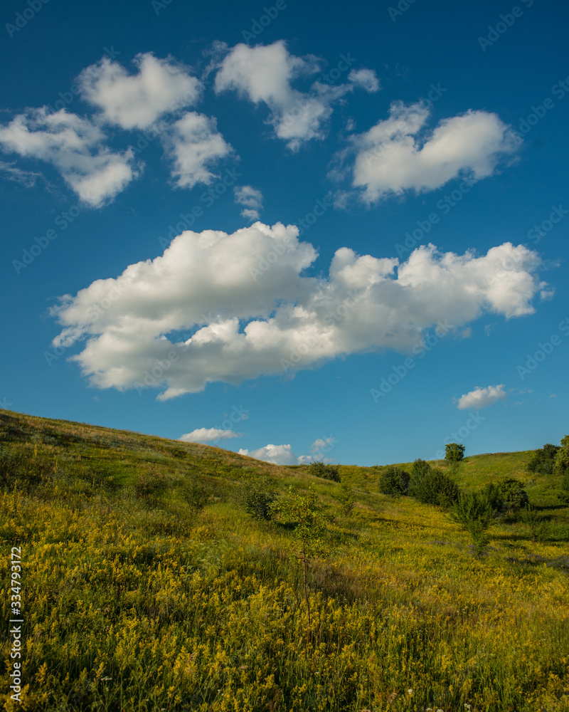 white clouds against a blue sky and a meadow on a hillside covered with forbs. white clouds against a blue sky and a meadow on a hillside covered with forbs.