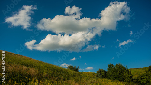 white clouds against a blue sky and a meadow on a hillside covered with forbs.