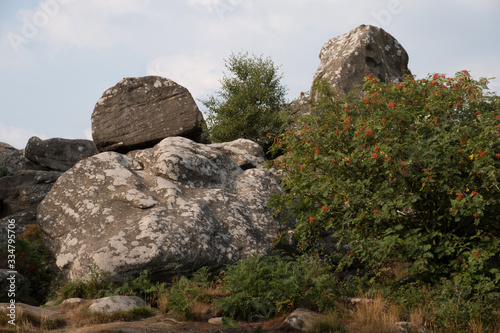 Scenic view of Brimham Rocks in Yorkshire Dales National Park