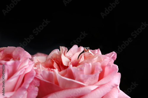 gold ring with diamond. Diamond wedding rings on rose petals. Diamond Ring On pink Rose. Selective focus