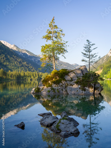 Fototapeta Naklejka Na Ścianę i Meble -  Trees life on a rock, Hintersee lake, Bavaria, Germany