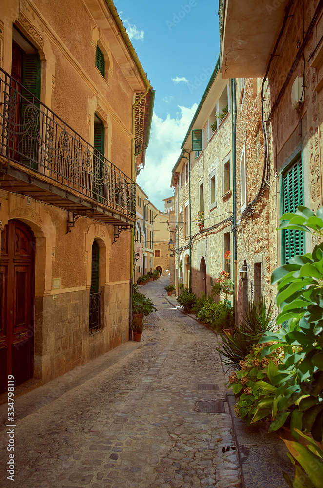 Pedestrian street in a small town. The street is made of stones and the houses too. Green plants, doors and windows. It is summer in Mallorca, Spain.