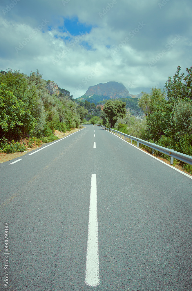 Straight road to the mountain. There are bushes and trees on both sides. Discontinued painted white lines in the middle of the road. At the top there is the Puigmajor mountain. Mallorca, Spain