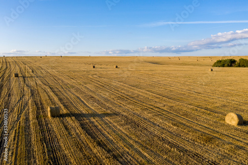 Rural summer landscape. Rolls of straw on a mown field. Shooting from a drone.