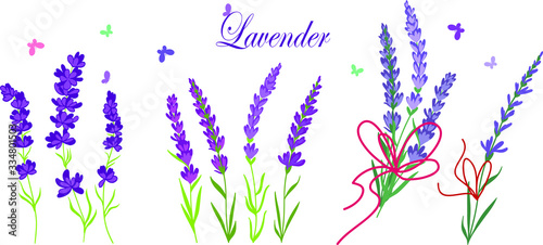 Wheat lawender field vector illustration for desind set