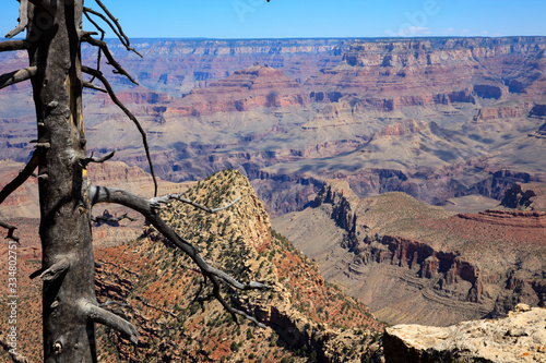 Arizona / USA - August 01, 2015: South Rim Grand Canyon landscape, Arizona, USA