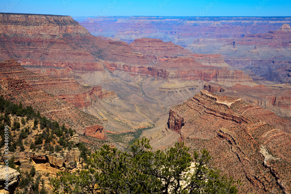 Arizona / USA - August 01, 2015: South Rim Grand Canyon landscape, Arizona, USA Arizona / USA - August 01, 2015: South Rim Grand Canyon landscape, Arizona, USA