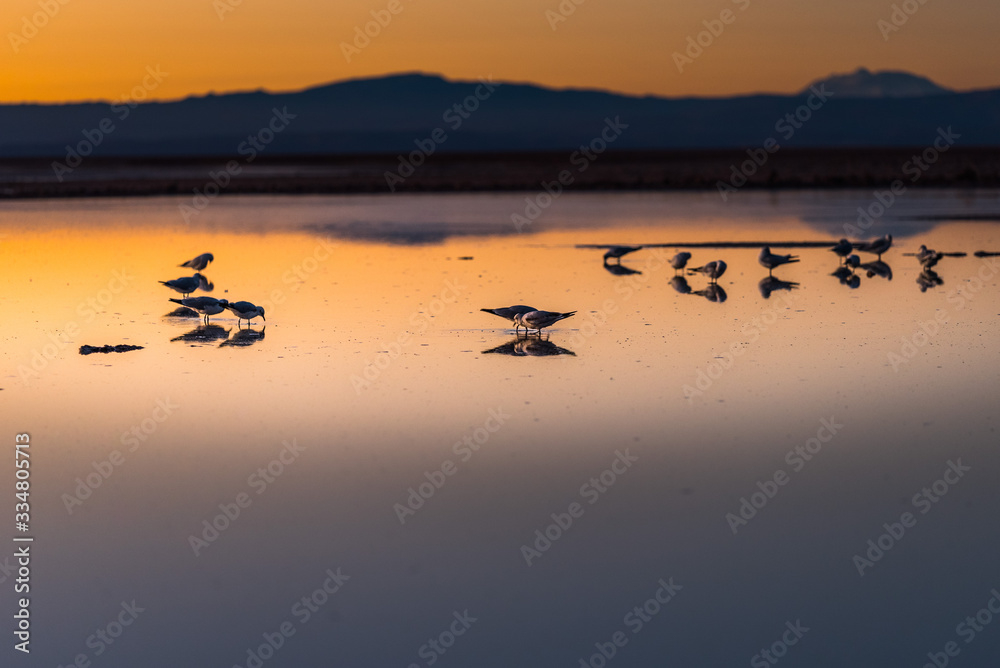 Naklejka premium a dark nigh on san pedro de atacama
