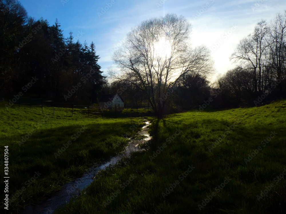 Obraz premium rivière