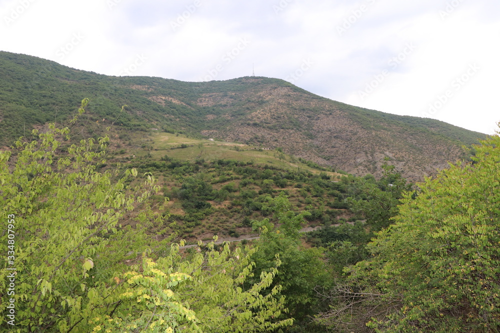 The mountain is covered with green trees and plants