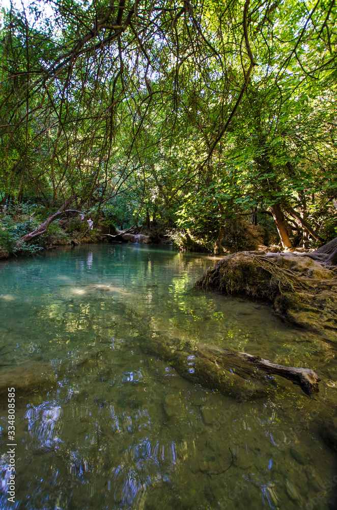 nature rivière fôret eau arbre pierre