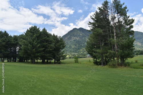 golf course in the park