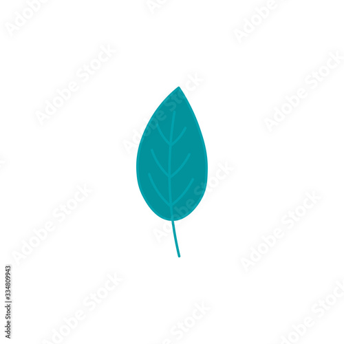 Green leaf flat vector illustration isolated on a white background.