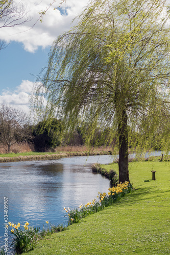 View of the River Test in Hampshire photo