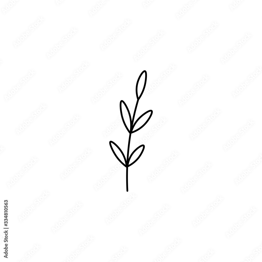 Hand drawn flat vector branch with leaves isolated on a white background. Hand drawn flat vector branch with leaves isolated on a white background.