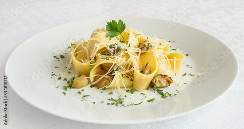 pappardelle pasta with mushrooms and cheese decorated with parsley photo