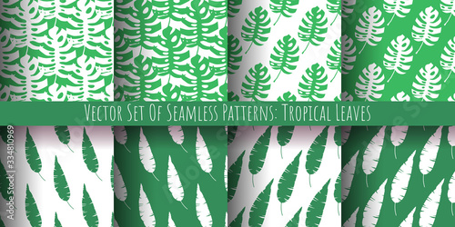 Vector set of seamless patterns made of tropical green leaves of monstera and banana palm in green and white colors. Endless exotic textures.