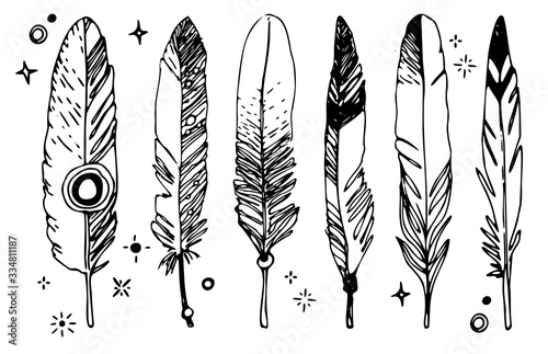 a set of hand-drawn feathers. black-and-white vector illustration