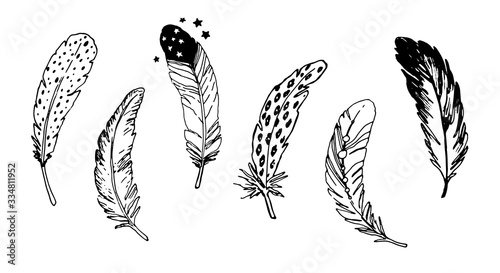 a set of hand-drawn feathers. black-and-white vector illustration