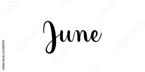 June. Handwritten month name on white background. Vector text element with black inscription. Modern brush calligraphy style