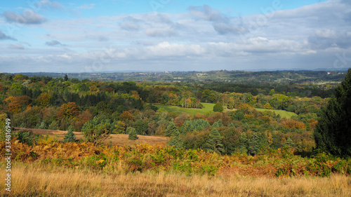 View of the Ashdown Forest in Autumn