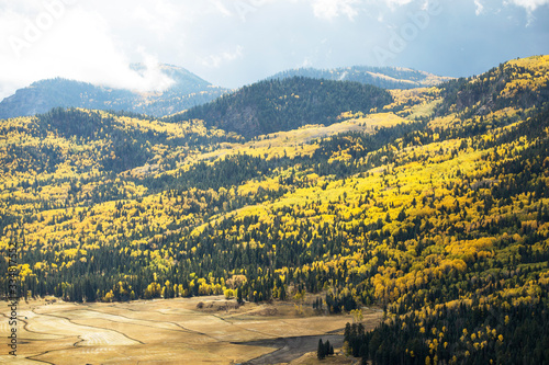 Colorado mountain covered with colorful aspen trees in fall