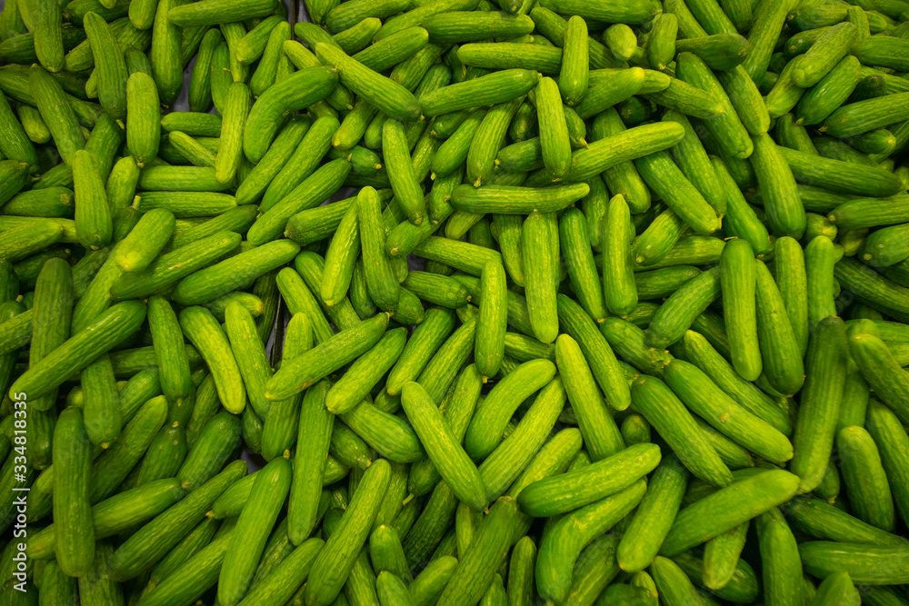 Cucumber