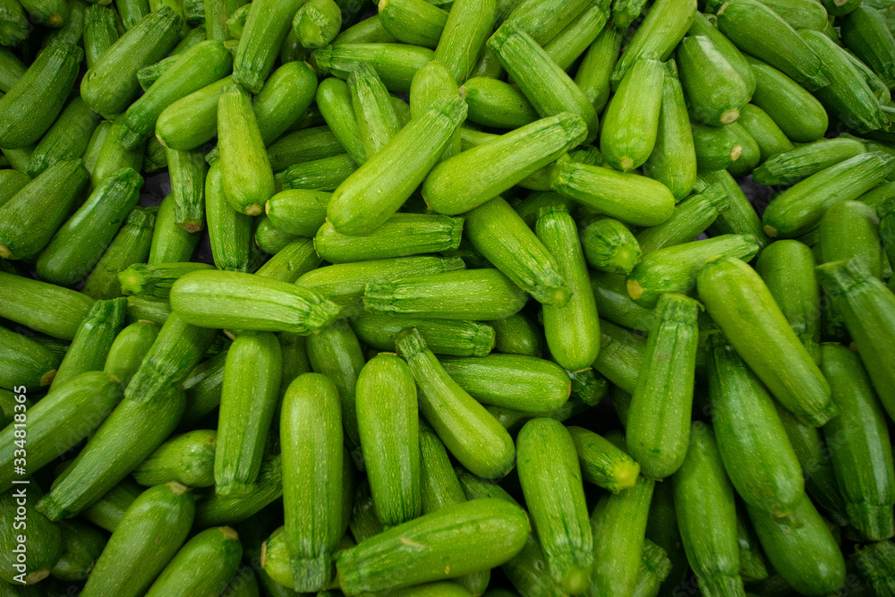 Green Squash Green Squash