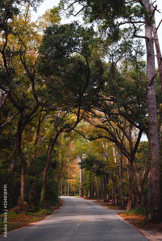 South Carolina autumn color walk