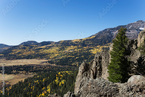 The view of Aspen Trees from Wolf Creek Pass in Colorado © yobab