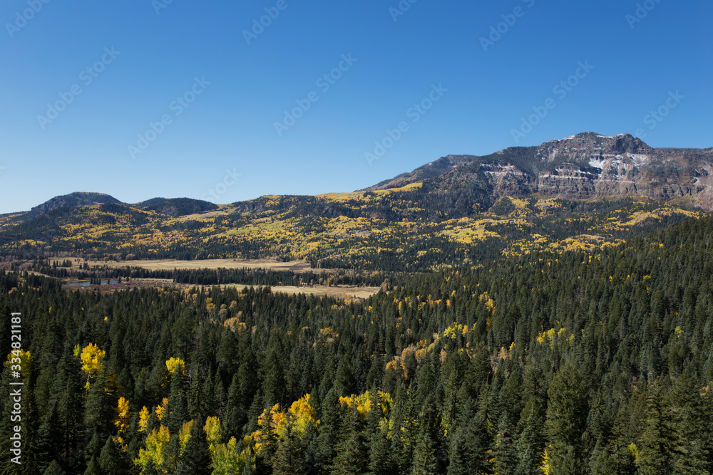 The view of Aspen Trees from Wolf Creek Pass in Colorado