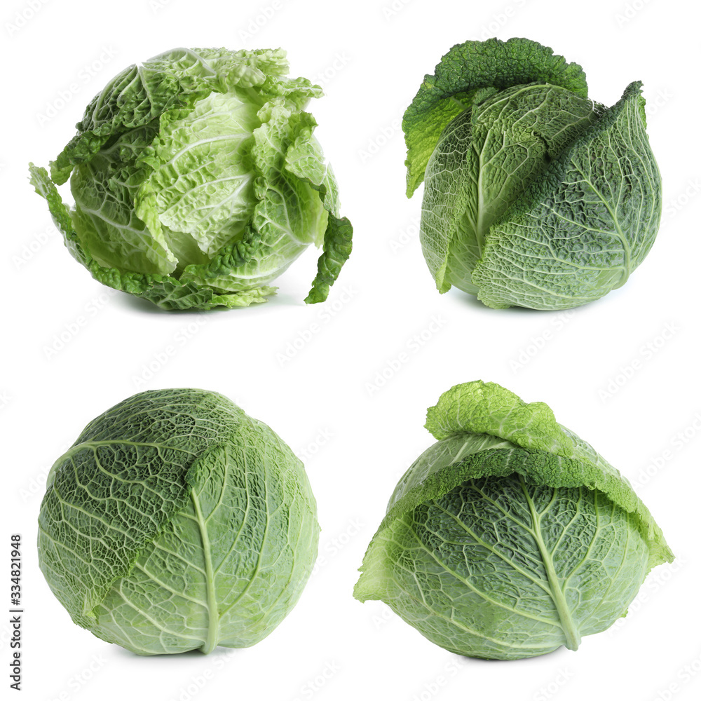 Fototapeta premium Set of fresh ripe cabbages on white background