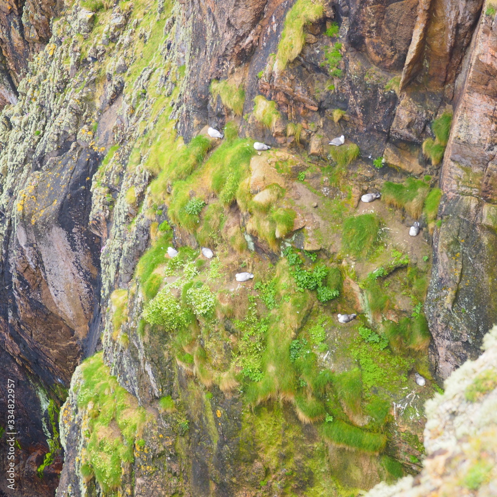 Obraz premium OLYMPUS DIGITAL CAMERA