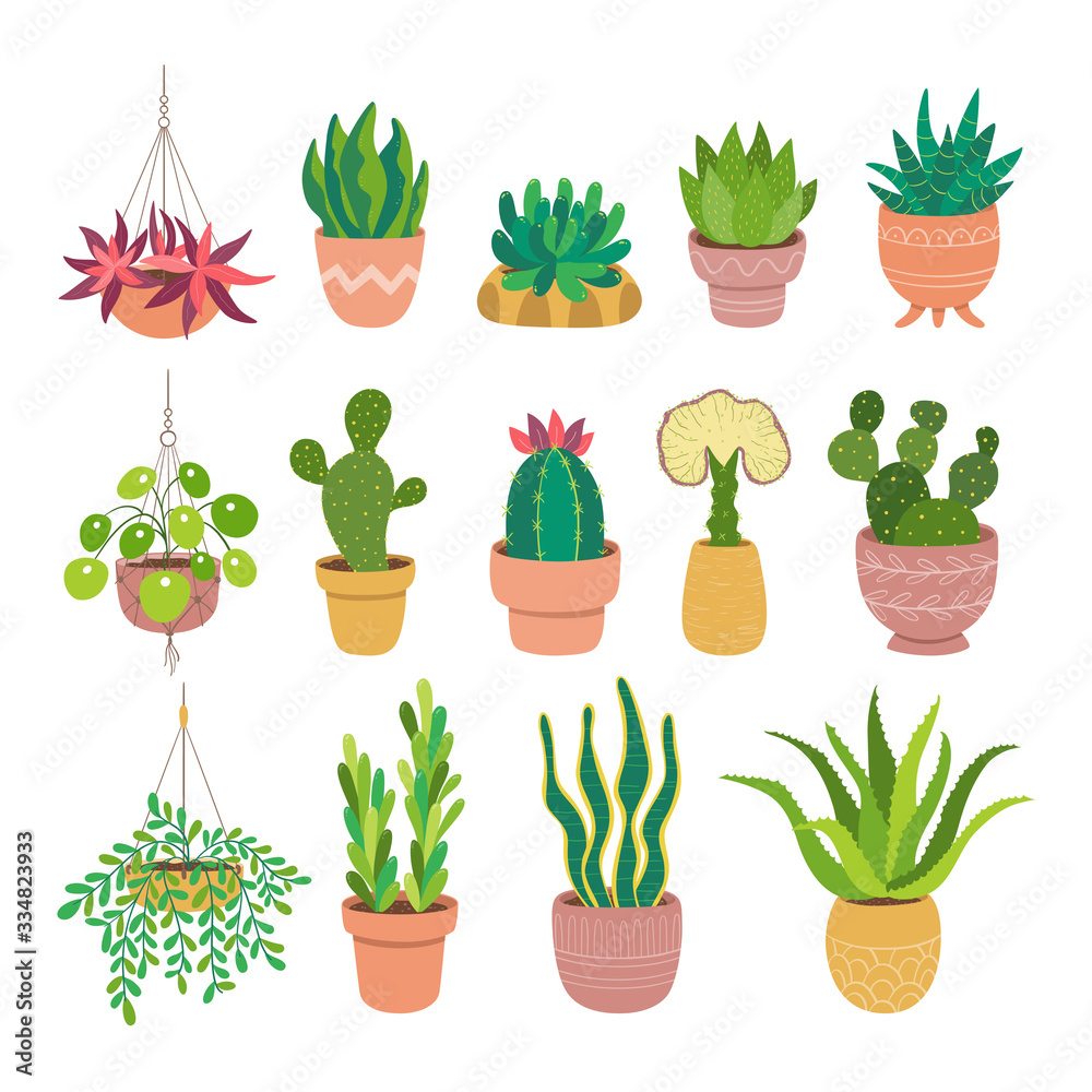 Succulents and cactus colorful collection Succulents and cactus colorful collection