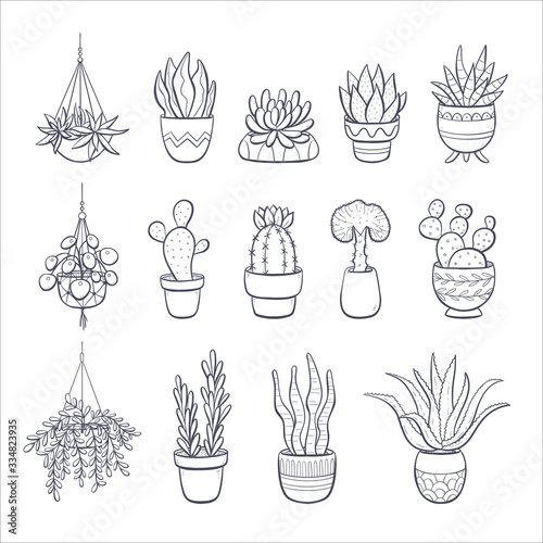 Succulents and cactus doodle collection