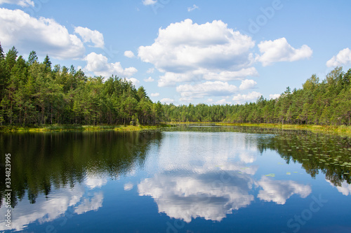 View of a lake in Nuuksio National Park in summer, Espoo, Finland