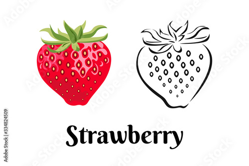 Strawberry isolated on white background. Vector color illustration of aromatic red berry in cartoon flat style and black and white outline. Fruit Icon.