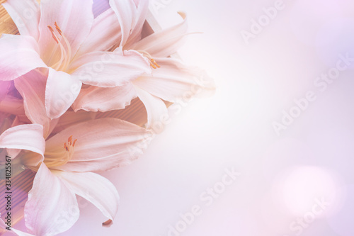 Fototapeta Naklejka Na Ścianę i Meble -  Happy Mother's Day card with beautiful pink lily flowers in a gift box flat lay on pastel table top, spring card, top view. Spring or summer card with flowers, top view, copy space